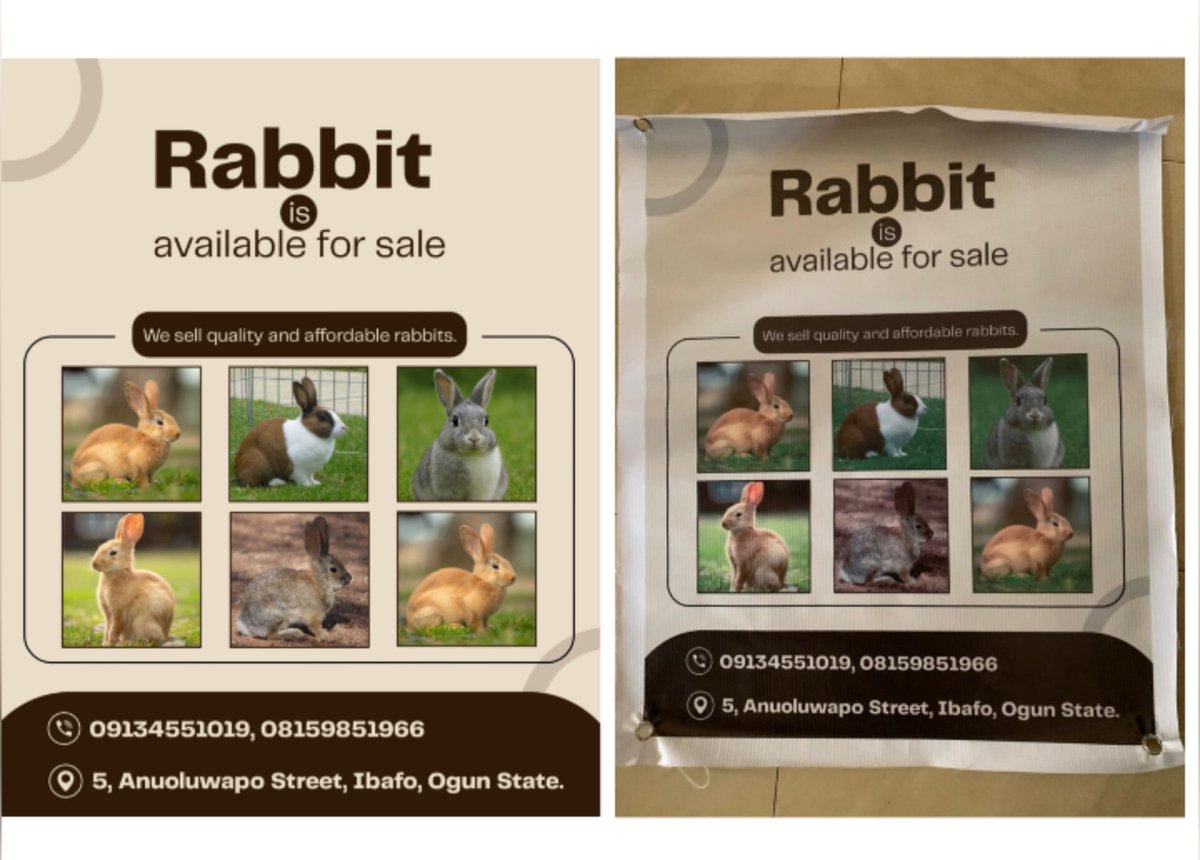 kennysmiles009's tweet image. First slide: Rabbit business visual I recently designed for a client.
Second slide: The client got the design printed from her side.

let's create a clean and functional designs for your brand. DM to work with me. #Rabbitdesign#Bannerdesign#Graphicdesign#Kennyshub#