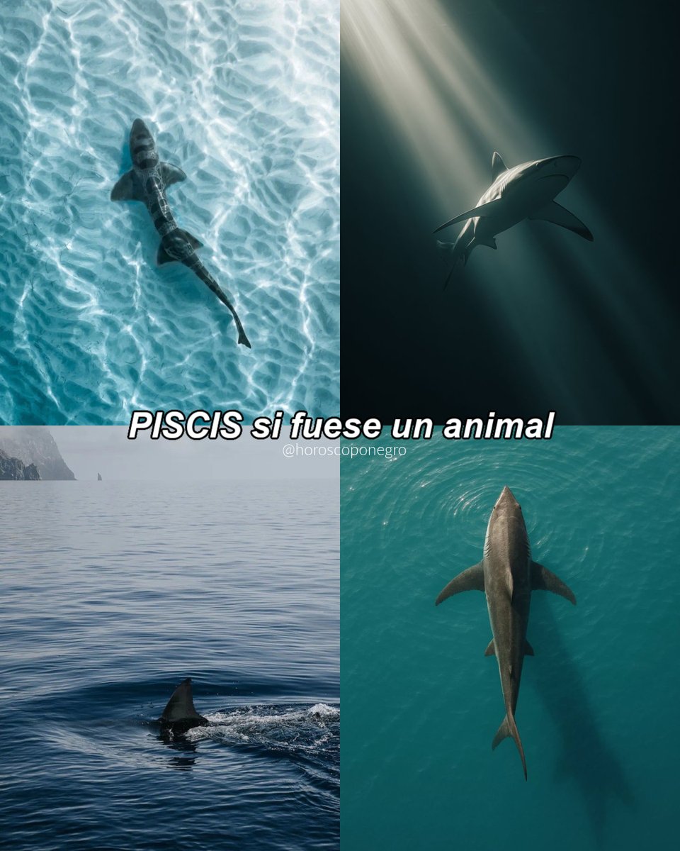 ¿Coincide con tu animal favorito? ✨🔮
