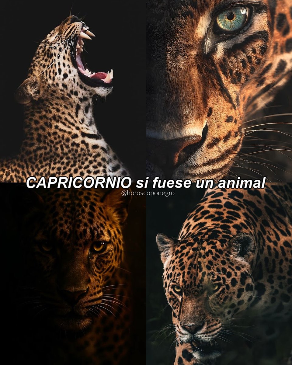 ¿Coincide con tu animal favorito? ✨🔮