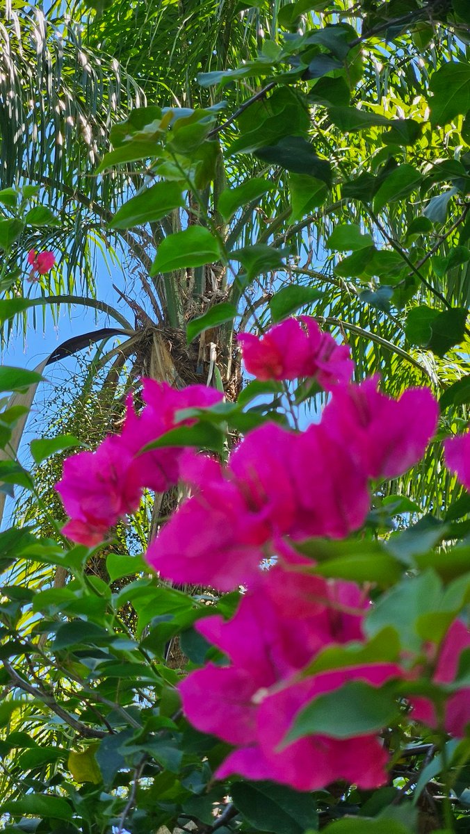 Relax Nature Beauty tweet media