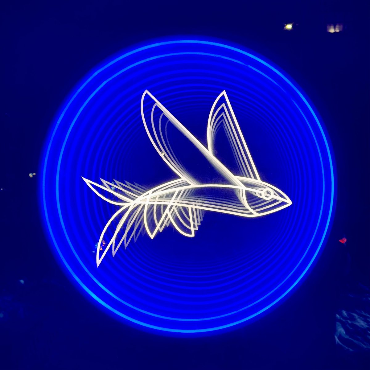 Steve 🤙 tweet media