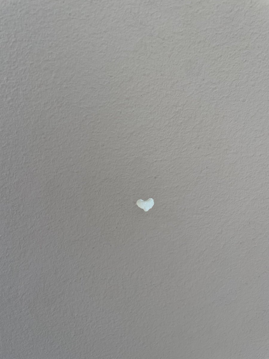 𝘦𝘭𝘪𝘴𝘢 tweet media