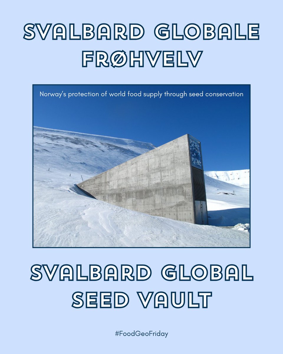 AmericanGeo's tweet photo. #FoodGeoFriday: Svalbard Global Seed Vault 🌱
The Svalbard Global Seed Vault aims to safeguard global food supply by storing a genetically diverse seed collection from countries across the world. https://t.co/I6Udib9N5n