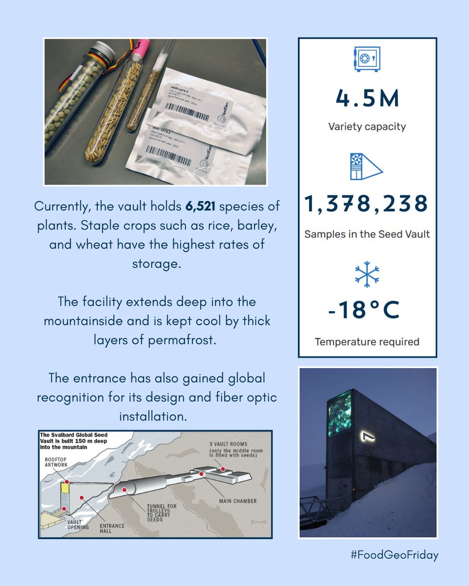 AmericanGeo's tweet photo. #FoodGeoFriday: Svalbard Global Seed Vault 🌱
The Svalbard Global Seed Vault aims to safeguard global food supply by storing a genetically diverse seed collection from countries across the world. https://t.co/I6Udib9N5n