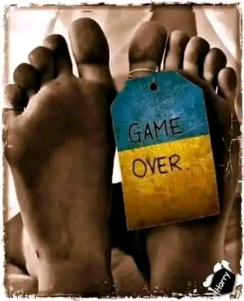 Oliver Mock tweet media