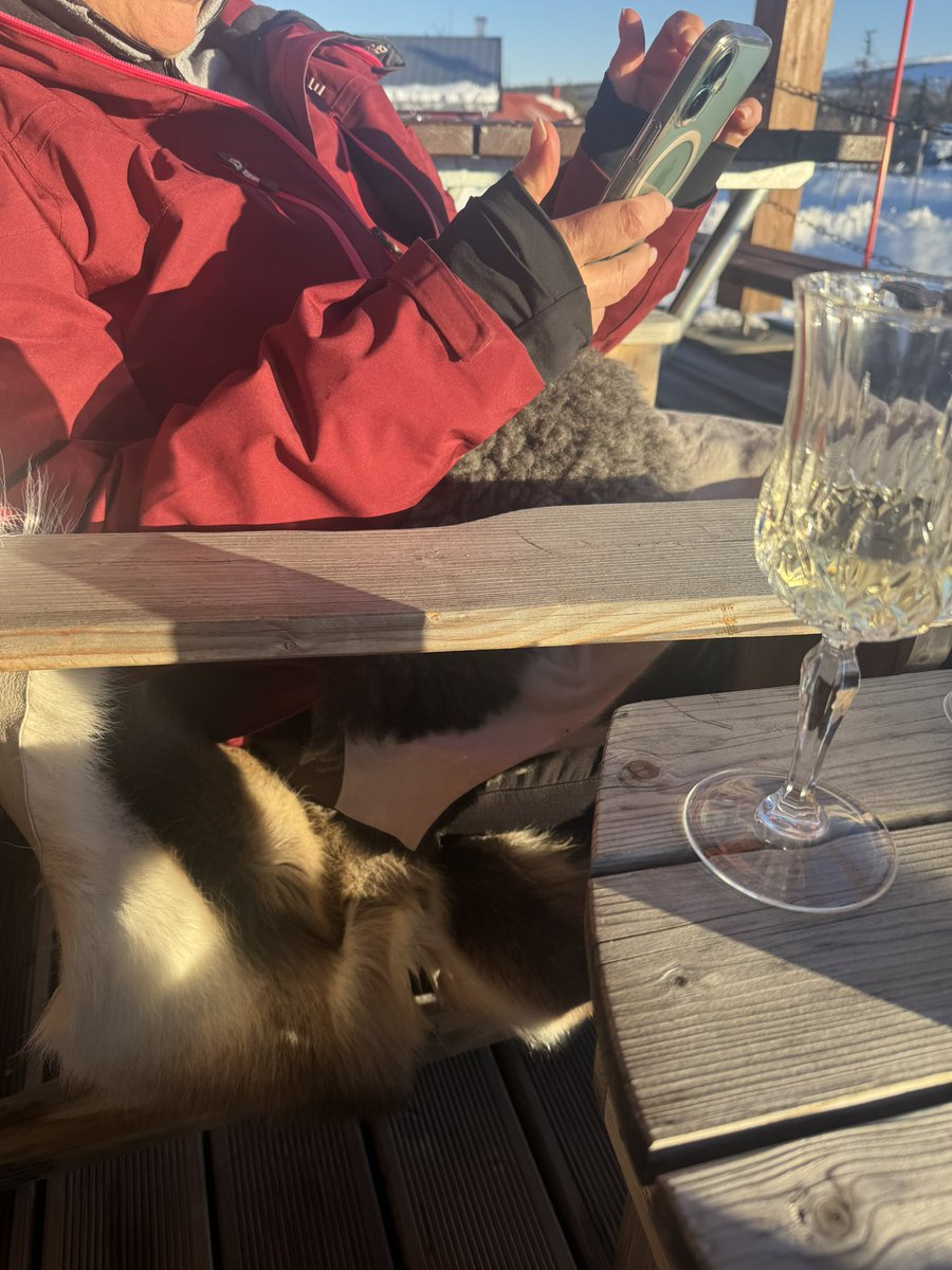 Håkan Hellqvist tweet media