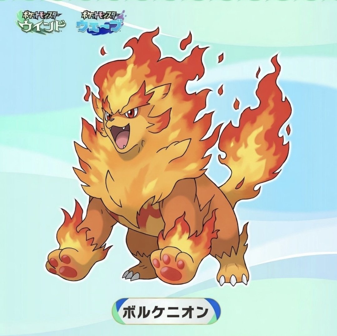 Bê Araújo tweet media