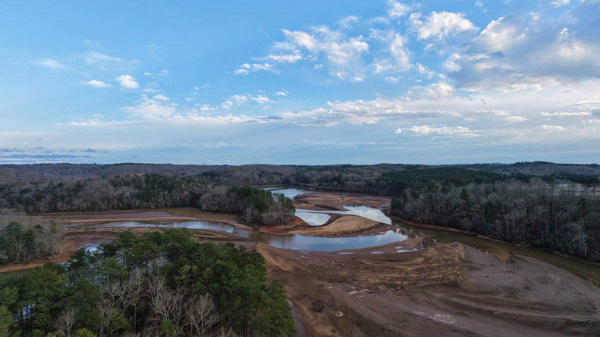 DSeymour tweet media