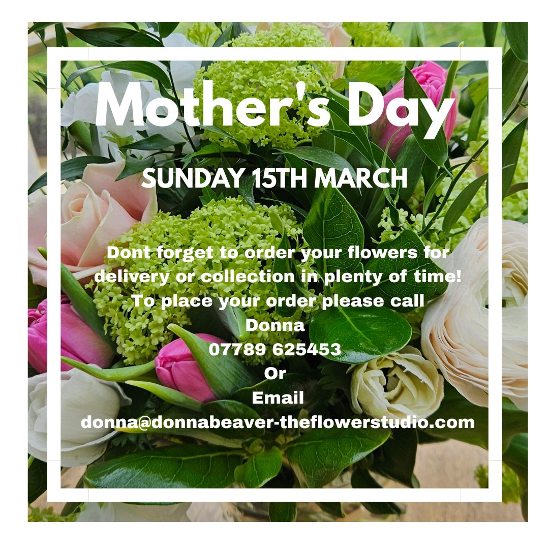 Donna Beaver 💙 tweet media