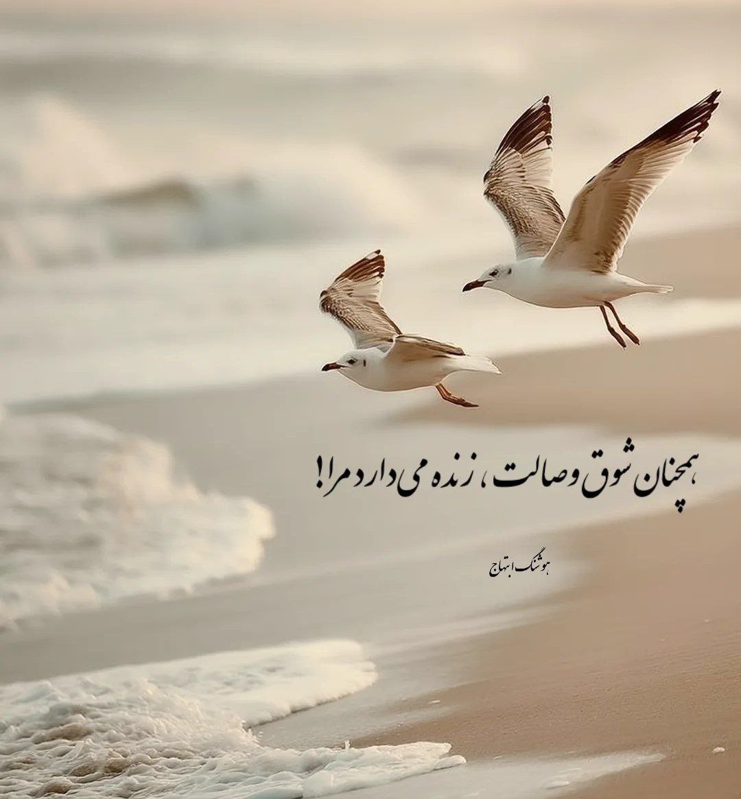 yaghob nazari tweet media