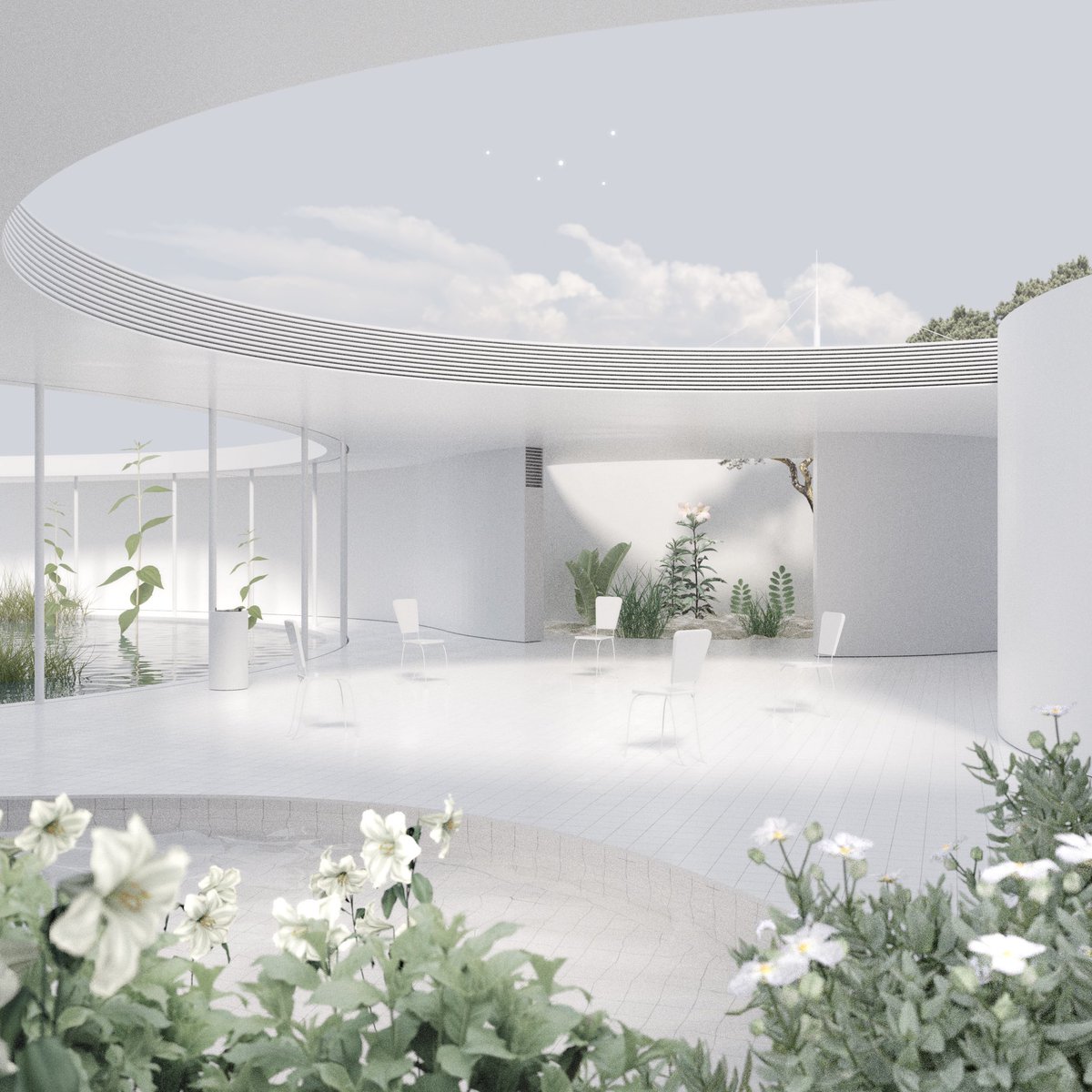 ミヤオウ tweet media