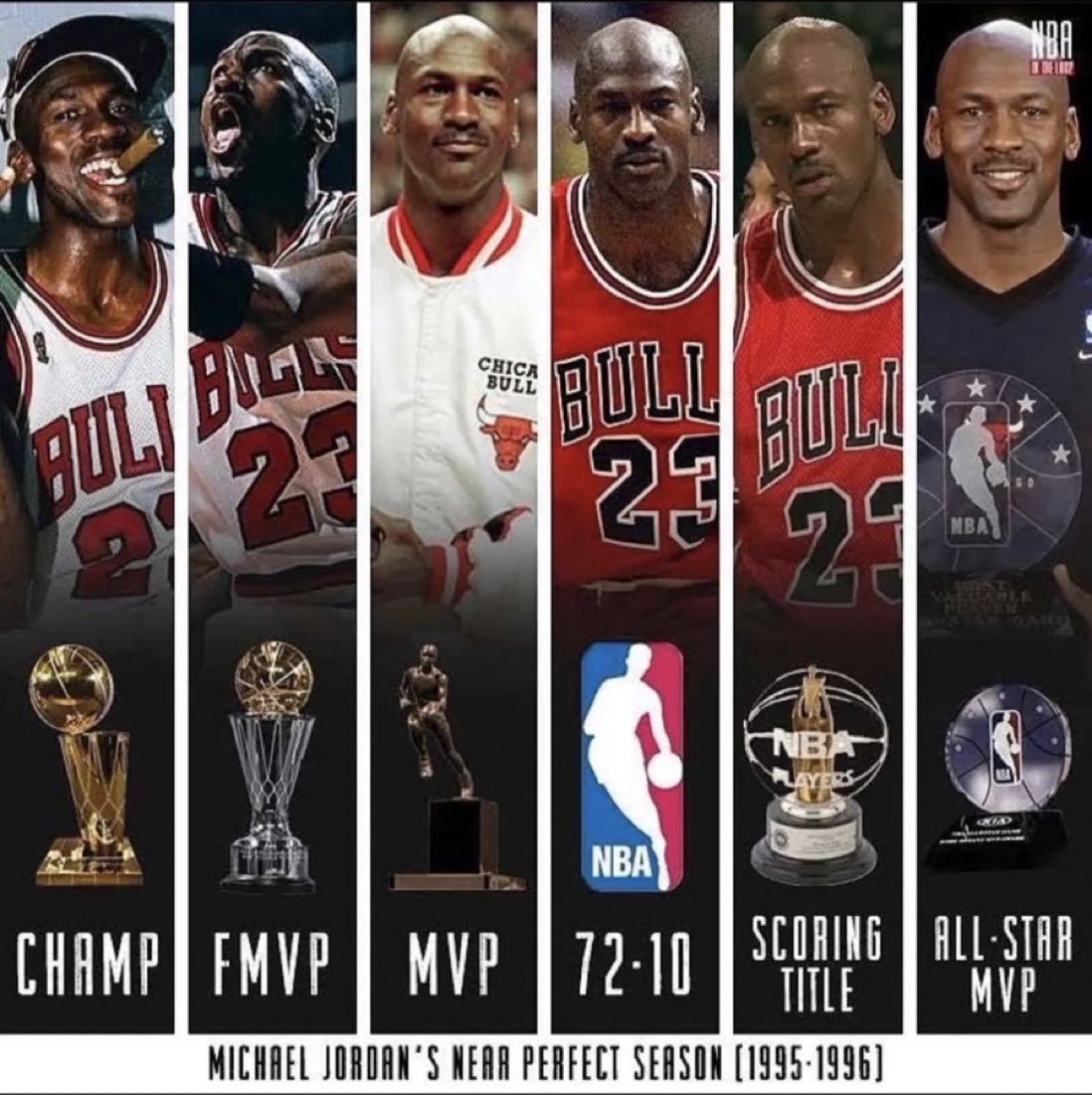95-96 Jordan was one amazing year 🐐