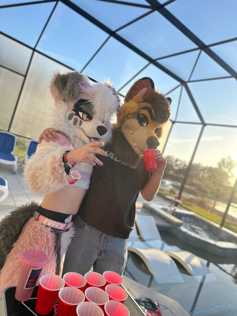 Foster 🔜 LVFC, FWA tweet media