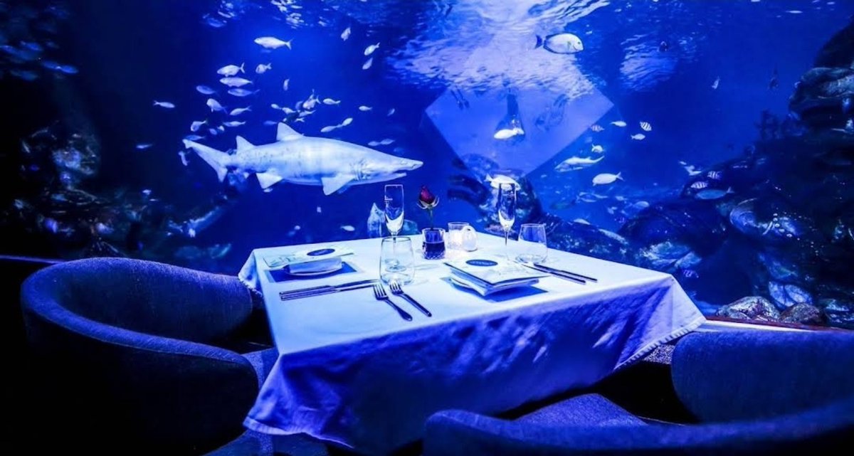 Η θα μας φάει...η θα προσπεράσει....καλό μας βράδυ❤️❤️