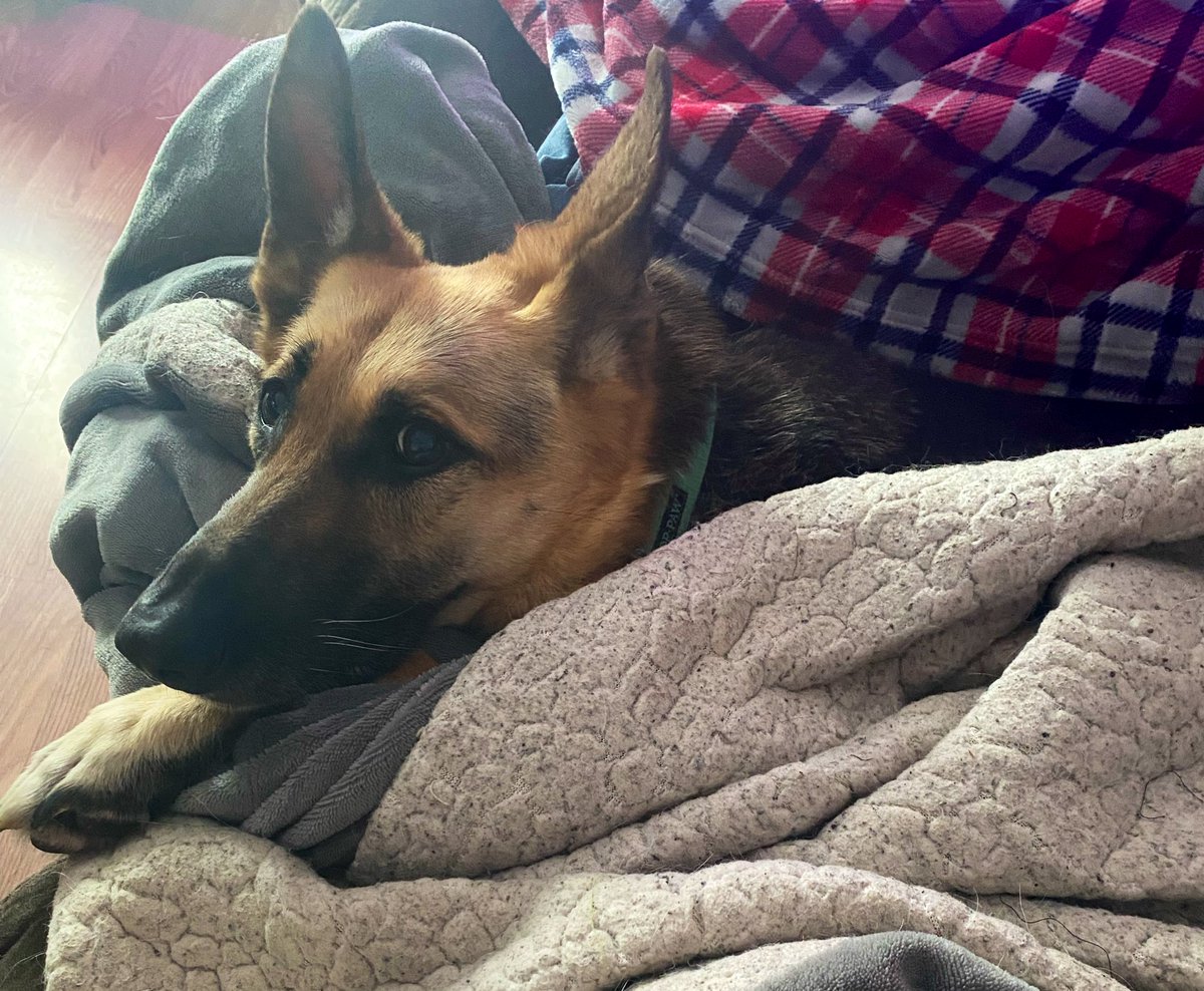 LWake🫠👍Open for Commissions 😗👍 tweet media