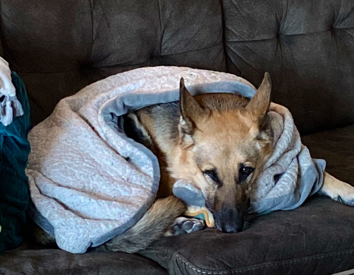 LWake🫠👍Open for Commissions 😗👍 tweet media