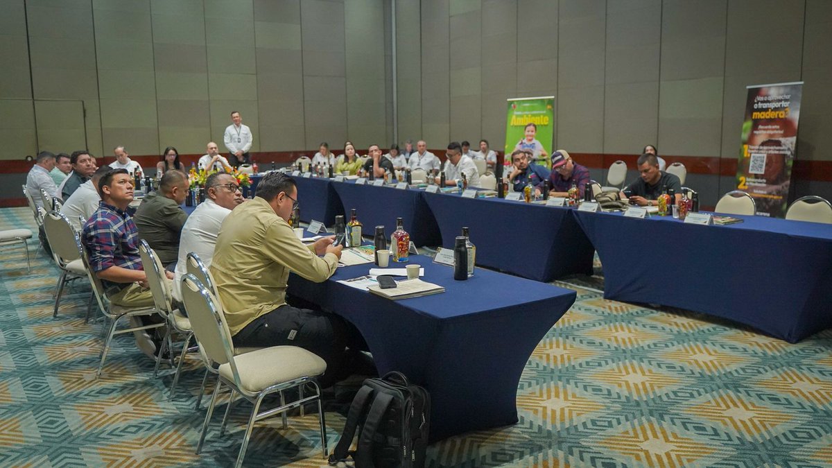 Cormacarena tweet media