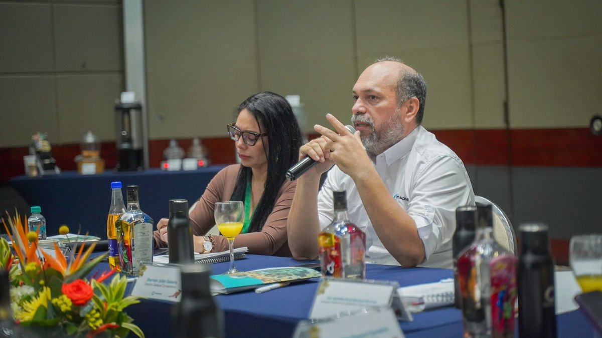 Cormacarena tweet media