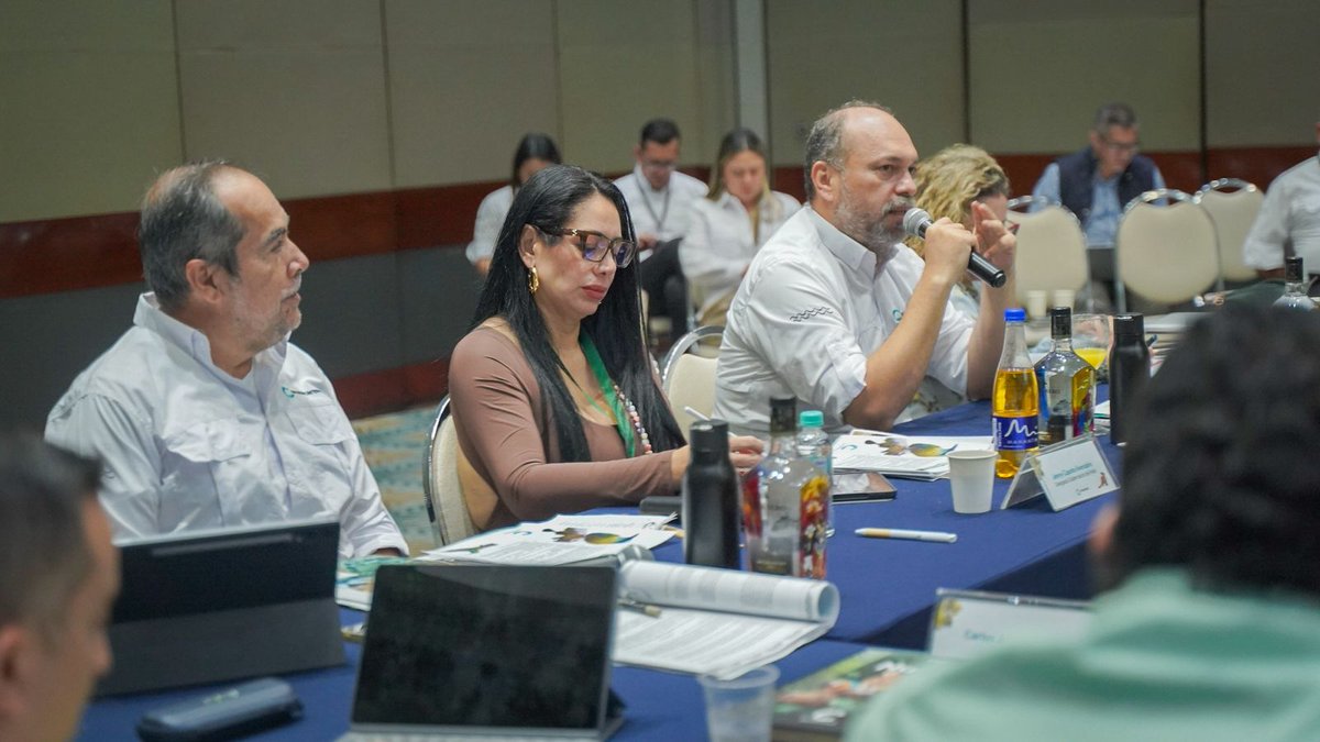 Cormacarena tweet media