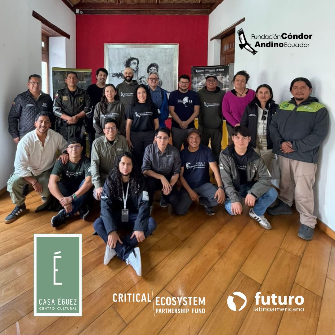 CondorFundacion's tweet photo. 💚 #Agradecimiento Desde la Fundación Cóndor Andino agradecemos a @casaeguez Centro Cultural por abrirnos sus puertas para este importante encuentro en favor del #ÁguilaAndina 🦅.

💚 ¡Gracias por ser parte de este esfuerzo!

#SocioCEPF #Conservación #Ecuador #fcae #casaegüez https://t.co/YLR8vxfEve
