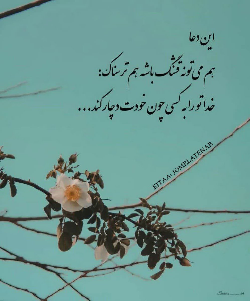 نورا tweet media
