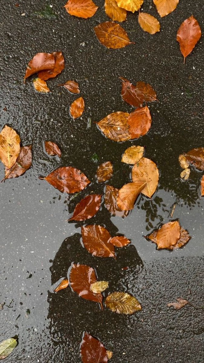 Ah, yaprak gibi.., Sert ve kırılgan..,
Güz yağmurlarında uzansam kaldırımlara.., Ezip geçsen de dırılmam.., dırılmam...🍂💔
