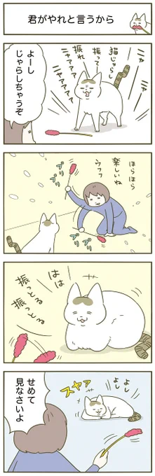 振っとる振っとる🐱 