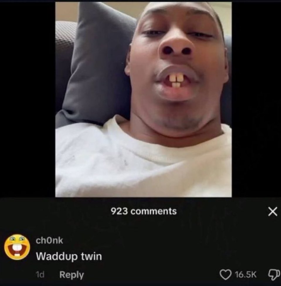 insane internet posts tweet media