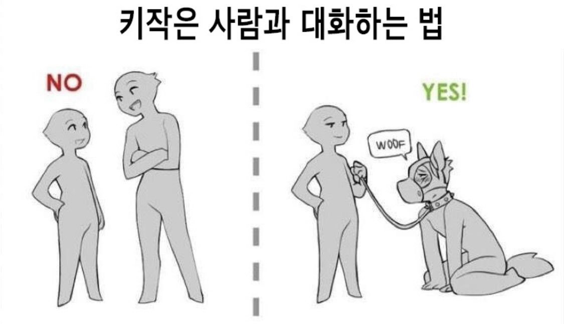 디어다일이 이럼