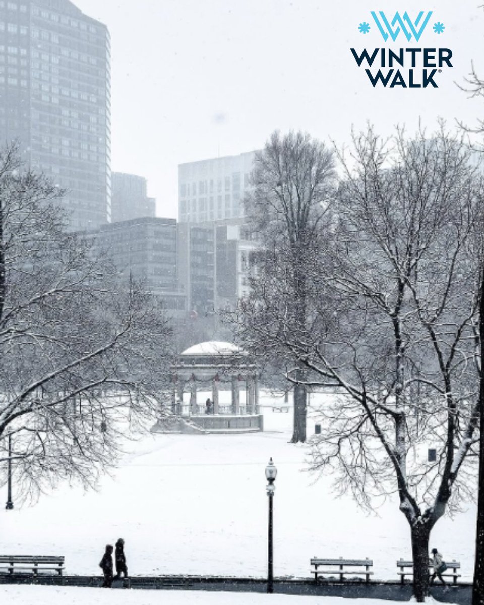 BridgeOTW tweet media