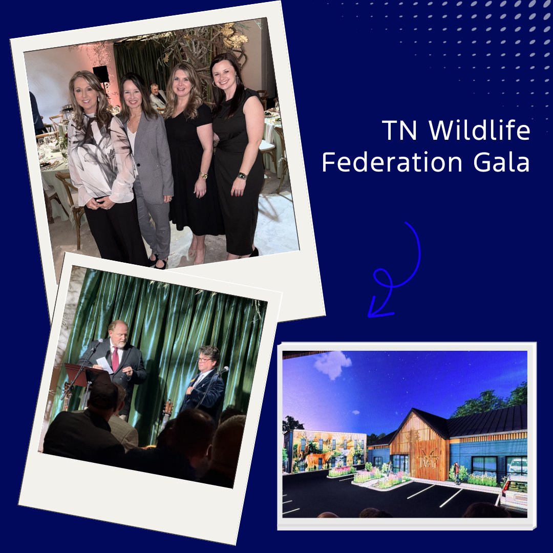 blueovalcity's tweet photo. In February, we stayed on the move across West Tennessee, connecting with neighbors while supporting the people and places that keep our region strong. Every stop is an opportunity to listen and learn as we keep moving forward together.

#FordBlueOvalCity #FordCommunityRelations https://t.co/9i0mE6w69A