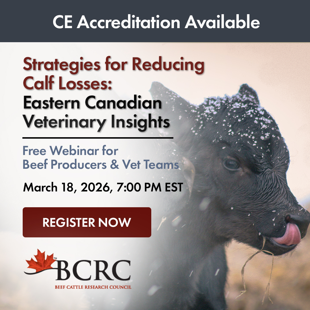 Beef Cattle Research Council tweet media