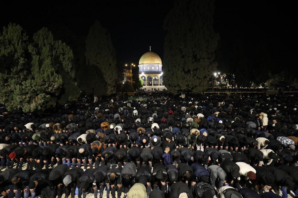 Palestine Highlights tweet media