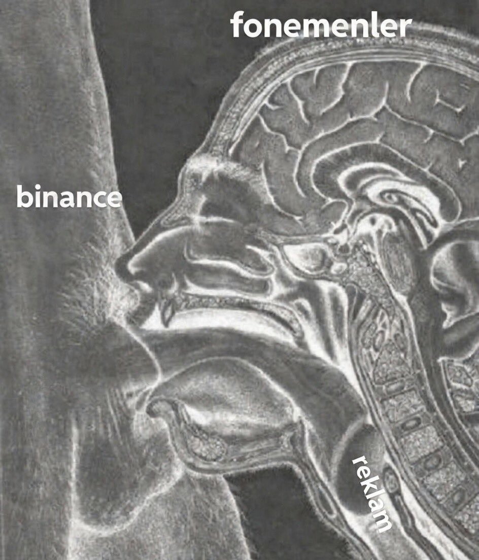 Can Sayan tweet media