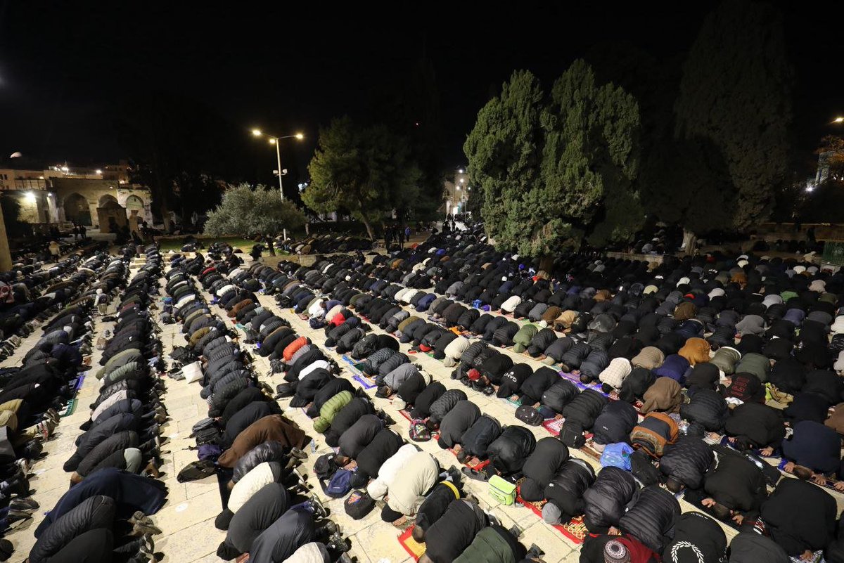 Palestine Highlights tweet media