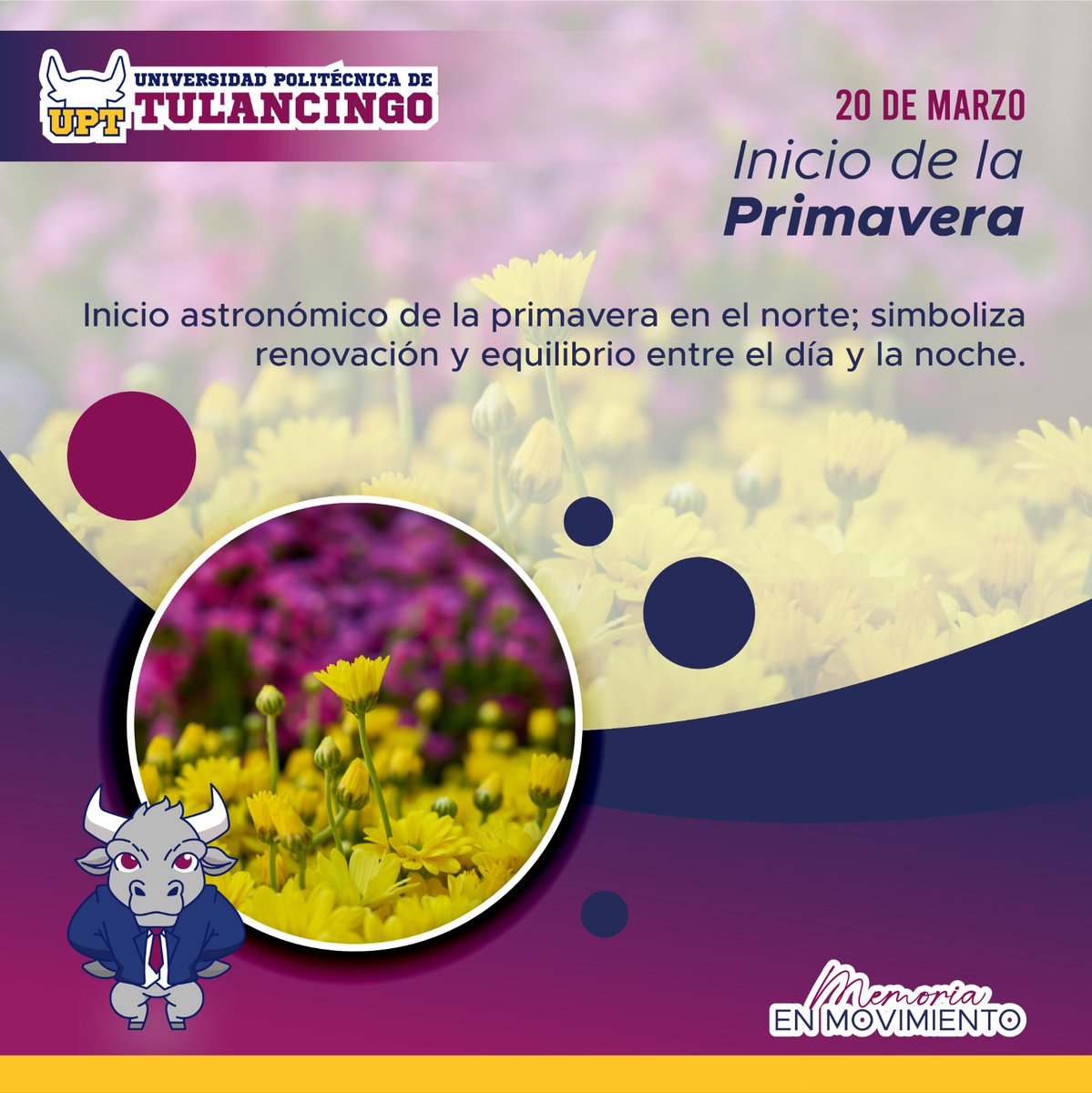 Universidad Politécnica de Tulancingo Oficial tweet media