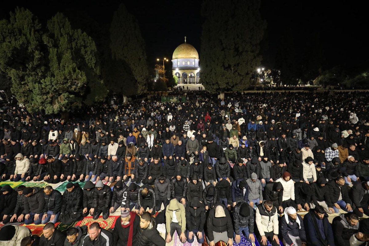 Palestine Highlights tweet media