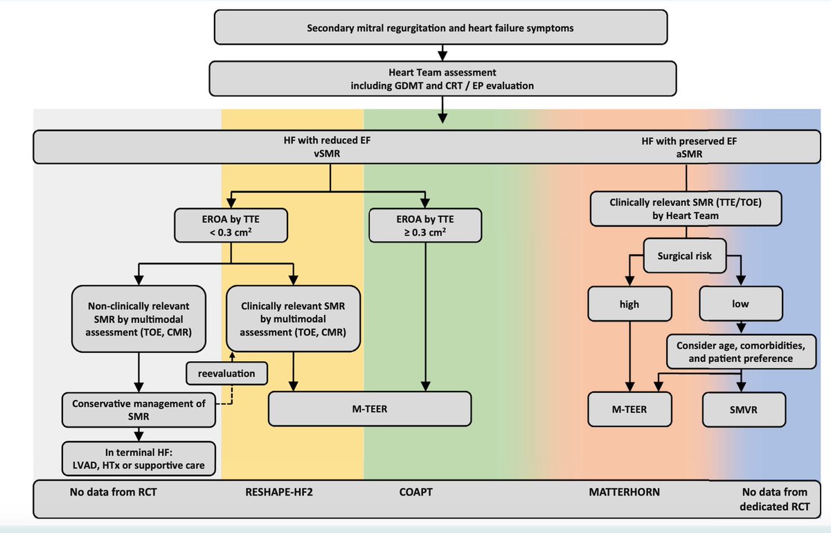 SeguraCardio's tweet image. 📌Transcatheter treatment of mitral regurgitation in #HeartFailure

An European Journal of Heart Failure expert consensus statement 📝

#Positionpaper #EHJHF #TEER #Mitraclip #HF