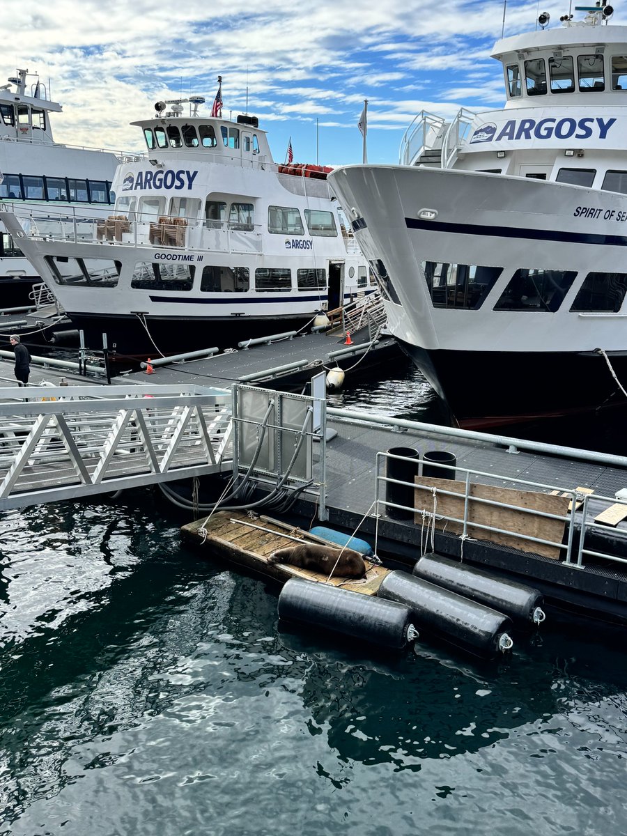 Argosy Cruises tweet media