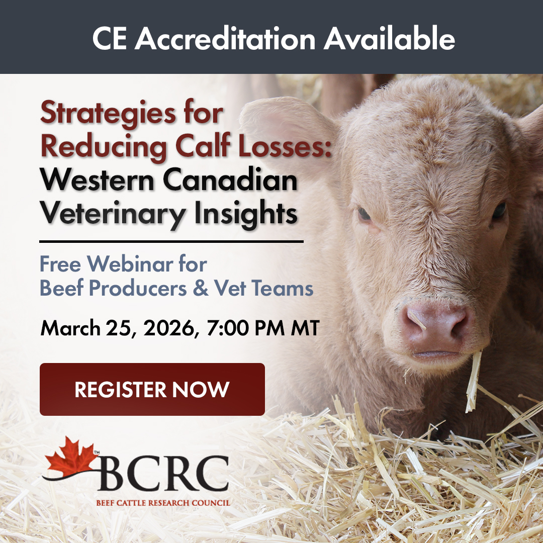 Beef Cattle Research Council tweet media