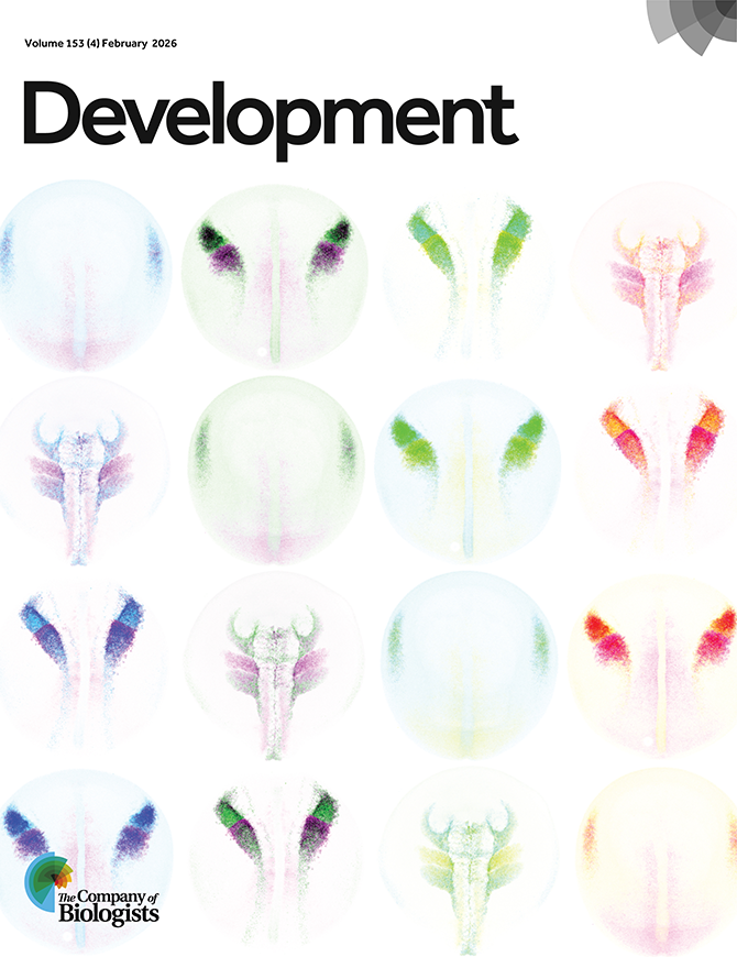 @LaBonneLaB tweet media