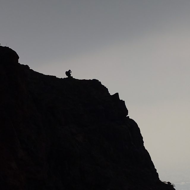 Persian Soldier tweet media