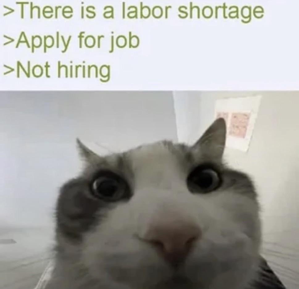 Shibetoshi Nakamoto tweet media