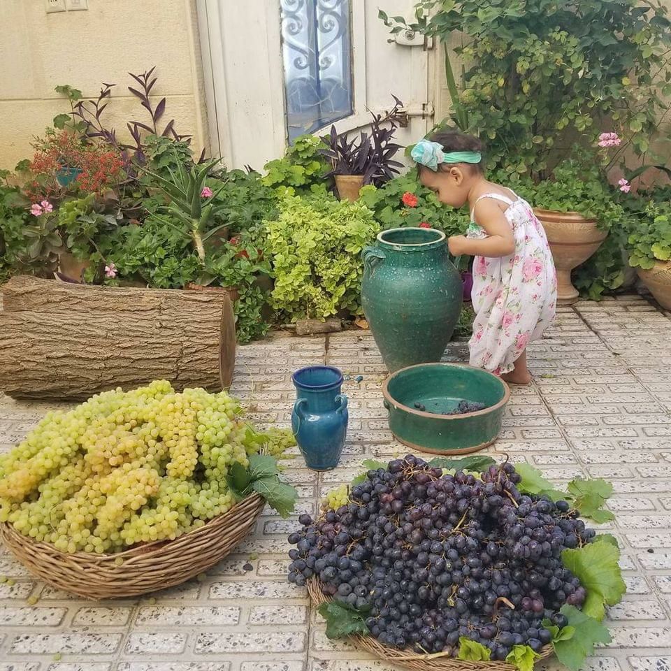 Saeed Damghanian tweet media