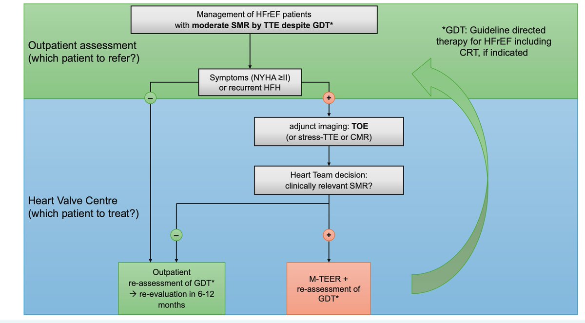 SeguraCardio's tweet image. 📌Transcatheter treatment of mitral regurgitation in #HeartFailure

An European Journal of Heart Failure expert consensus statement 📝

#Positionpaper #EHJHF #TEER #Mitraclip #HF
