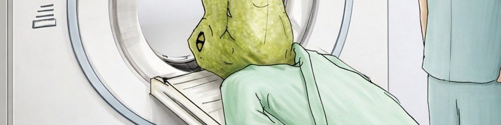 سنيوري ‏ tweet media