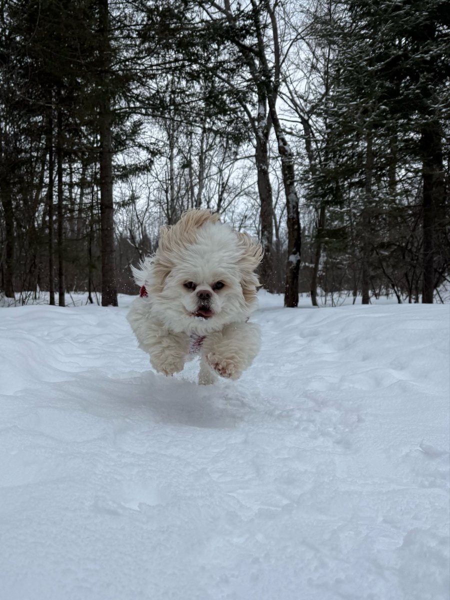 Flying into the weekend! ❄️❤️
#WeekendFun #Winter
