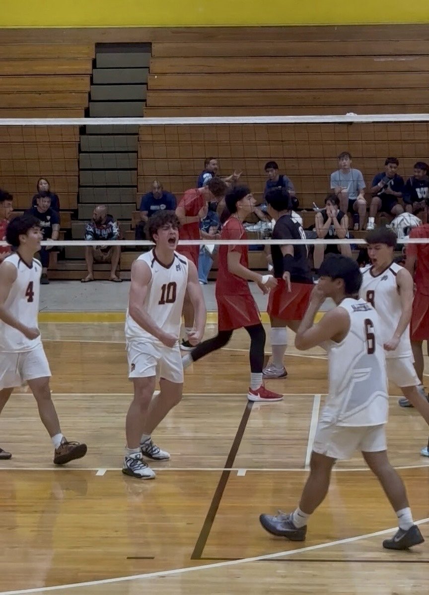 Susie₿dds tweet media