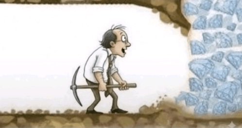 yoni rechtman tweet media