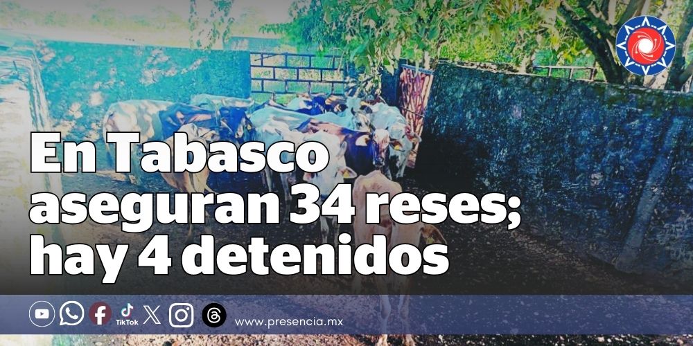 🚨 Combate al abigeato en Tabasco

Autoridades aseguraron 34 reses y detuvieron a cuatro personas en Balancán.

El ganado quedó bajo resguardo oficial.
presencia.mx/nota.aspx?id=2…
#Tabasco #Balancán #Abigeato #PresenciaSureste